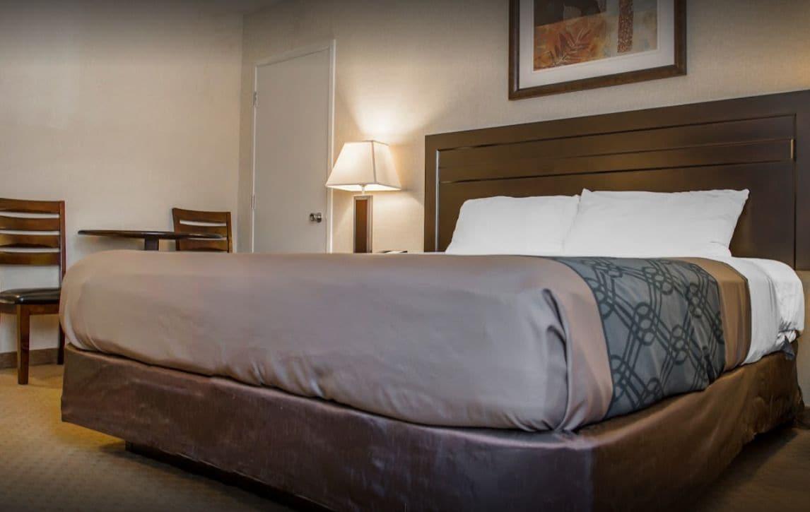 New Lodge Winnipeg Extérieur photo
