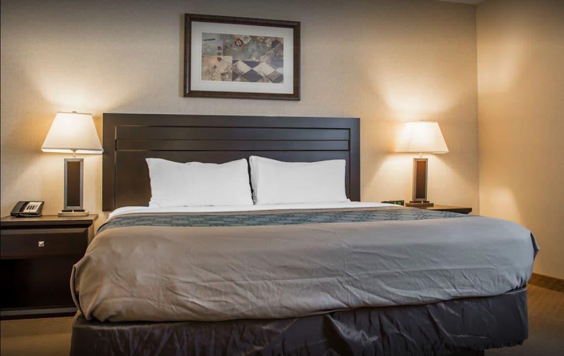 New Lodge Winnipeg Extérieur photo