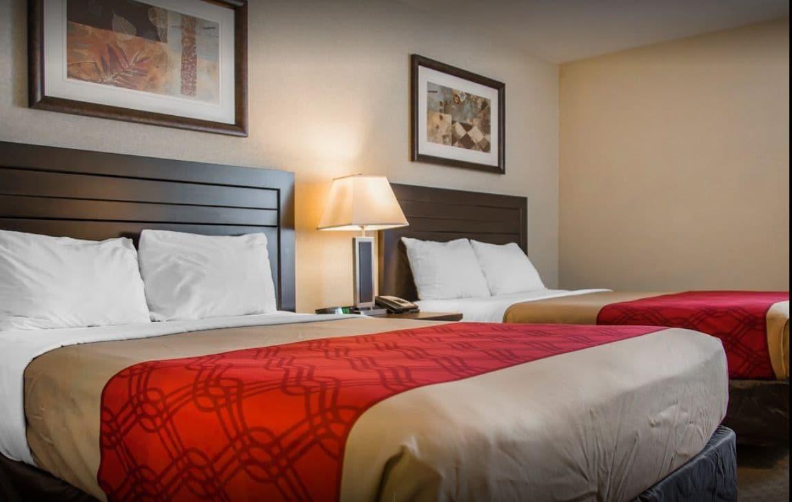 New Lodge Winnipeg Extérieur photo